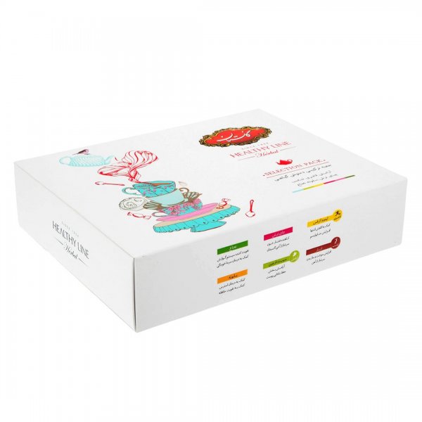 دمنوش ترکیبی گیاهی گلستان سری Healthy Line بسته 60 عددی